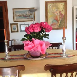 Dei Cavalieri Pise